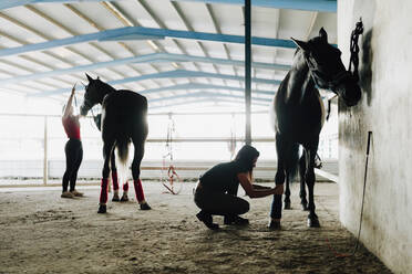 Woman wrapping bandage on horse's leg with female friend at stable - MRRF00876