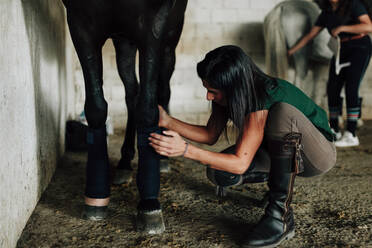 Frau untersucht das Bein eines Pferdes im Stall, während im Hintergrund eine Freundin zu sehen ist - MRRF00877