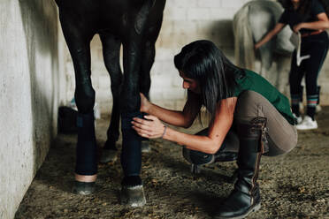 Woman examining horse's leg at stable while female friend seen in background - MRRF00877