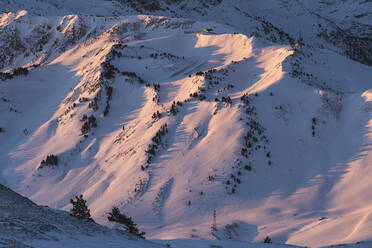 Schöne schneebedeckte Landschaft bei Sonnenaufgang - JAQF00273