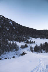 Trees on snowy mountain against sky - JAQF00294