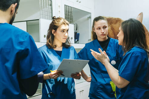 Female nurse gesturing while discussing with veterinarian colleagues in hospital - DGOF01899