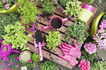 Herb and vegetable garden on balcony - GWF06903