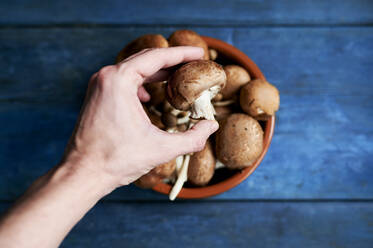 Hand of man picking up brown mushroom from bowl - KIJF03550