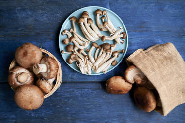 Brown edible mushrooms lying on blue wooden surface - KIJF03560