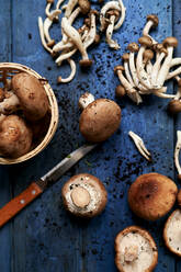 Kitchen knife and freshly picked mushrooms lying on blue wooden surface - KIJF03565