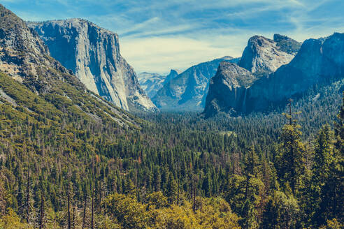 Yosemite-Nationalpark in Kalifornien - CAVF93050