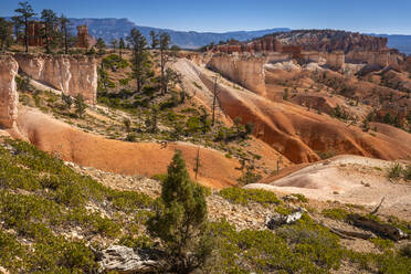 Aussicht auf Felsformationen vom Queens Garden Trail, Bryce Canyon National Park, Utah, USA - CAVF93065
