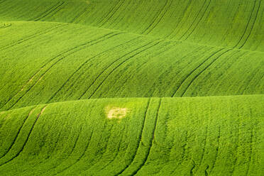 Idyllische Aussicht auf hügelige Felder in der Nähe von Kyjov, Bezirk Hodonin, Südmährische Region, Mähren, Tschechische Republik - CAVF93071