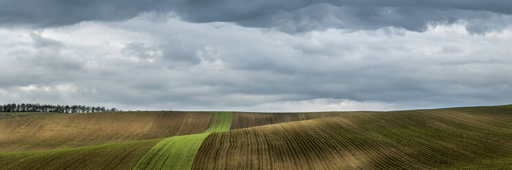 Panoramablick auf hügelige Felder in der Nähe von Kyjov mit dramatisch bewölktem Himmel, Bezirk Hodonin, Region Südmähren, Mähren, Tschechische Republik - CAVF93079