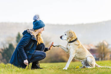 Junge Frau mit Hund im Feld - STSF02820