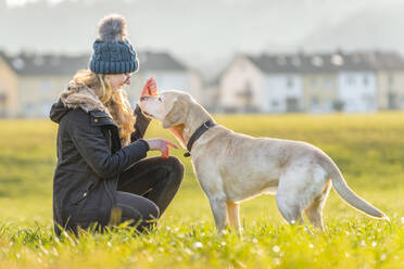 Junge Frau streichelt Haustier Hund in der Natur - STSF02825