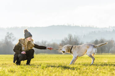 Playful dog pulling rope from woman's hand in nature - STSF02827