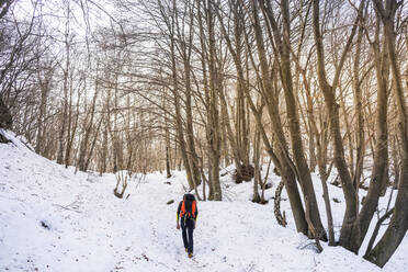 Älterer Mann beim Wandern auf schneebedecktem Boden im Wald - MCVF00728