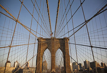 USA, New York, New York City, Cables of Brooklyn Bridge - AJOF01023