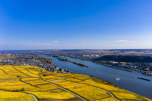 Deutschland, Hessen, Rüdesheim am Rhein, Blick aus dem Hubschrauber auf die Stadt am Fluss und die umliegenden Weinberge in der Rheinschlucht - AMF09113