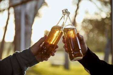 Hände zweier männlicher Freunde, die mit Bierflaschen anstoßen - ACPF01139