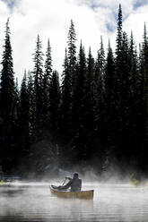 Mann paddelt Kanu auf einem See im Nebel, umgeben von hohen Bäumen - CAVF93136