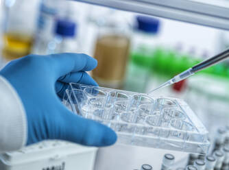 Biotech Research, scientist pipetting into a multi well plate in lab - CAVF93170