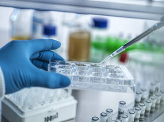 Biotechnology, Scientist pipetting a sample into a multi well plate. - CAVF93171