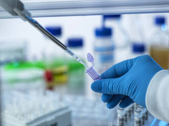 DNA, Scientist pipetting a DNA sample into a vial ready for testing. - CAVF93172