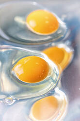 Quality control of eggs in a chemical laboratory - CAVF93269