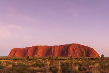 Australien, Northern Territory, Lila Himmel über Ayers Rock in der Abenddämmerung - FOF12053