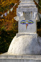 Deutschland, Bayern, Chiemgau, Stupa mit allsehenden Augen des Buddha und Gebetsfahnen - LBF03372