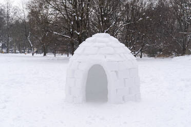 Iglu auf Schnee gegen kahlen Baum im Park - DIGF14521