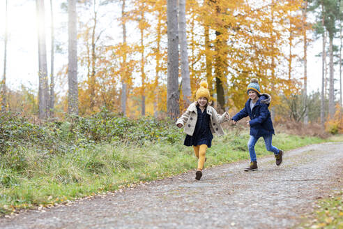 Fröhliche Geschwister spielen beim Laufen auf dem Waldweg - WPEF04068