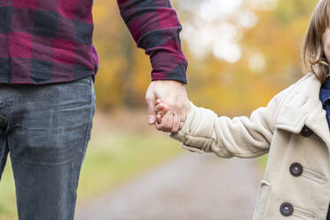 Father and daughter holding hands while standing at forest - WPEF04094