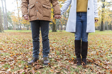 Paar hält sich an den Händen, während es auf gefallenen Blättern im Wald im Herbst steht - WPEF04150