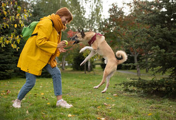 Fröhliche Dame gibt Ball an springenden Hund - CAVF93349