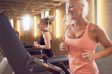 Female friends running on treadmills - CAVF93398