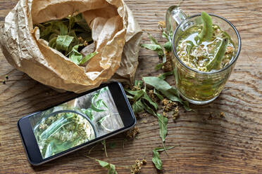 Fresh lime tea by dried linden leaves in paper bag and smartphone on wooden cutting board - VGF00348