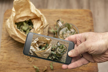 Hand holding smart phone while photographing dried linden leaves in paper bag and glass of lime tea on wooden cutting board - VGF00349