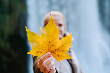 Female in warm scarf holding yellow maple leaf and looking at camera - ADSF20976