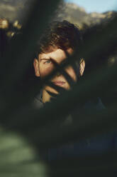 Young man with green eyes seen through leaves - ACPF01147