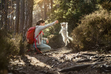 Female hiker playing with dog while crouching on Palatinate forest at Palatinate, Germany - MSUF00513