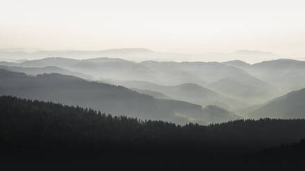 Blick auf das Schwarzwaldgebirge, Hornisgrinde in Baden-Württemberg, Deutschland - MSUF00515