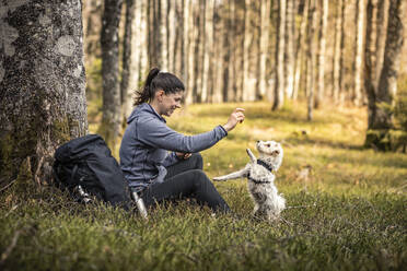 Female hiker playing with dog while sitting in forest - MSUF00520