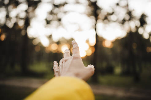 Menschliche Hand im Wald - EBBF02483