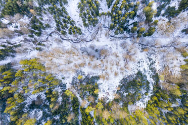 Deutschland, Baden Württemberg, Luftaufnahme Schwäbischer Wald im Winter - STSF02831