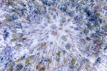 Deutschland, Baden Württemberg, Luftbild Schwäbischer Wald im Winter - STSF02849