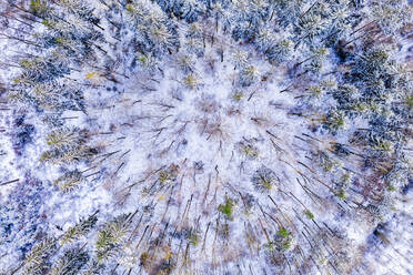 Germany, Baden Wurttemberg, Aerial view of Swabian Forest in winter - STSF02849