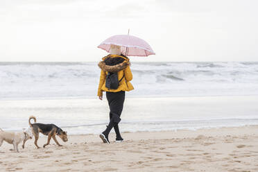 Junge Frau mit Regenschirm, die mit zwei Hunden am Sandstrand spazieren geht - JRVF00278