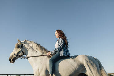 Junge Frau auf einem Pferd im Reitsportzentrum gegen den klaren Himmel - MRRF00896
