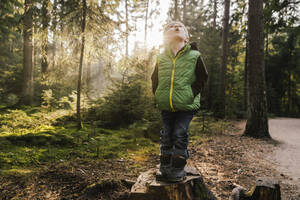 Surprised boy looking up while standing on tree stump in forest - MFF07367