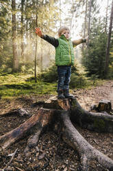 Junge mit ausgestreckten Armen auf einem Baumstumpf im Wald stehend - MFF07369