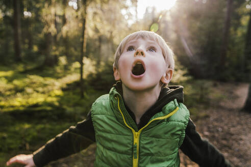 Junge mit offenem Mund im Wald stehend - MFF07370